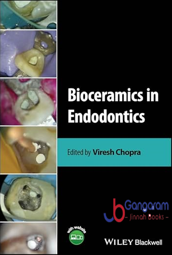 Bioceramics in Endodontics 1st Edition